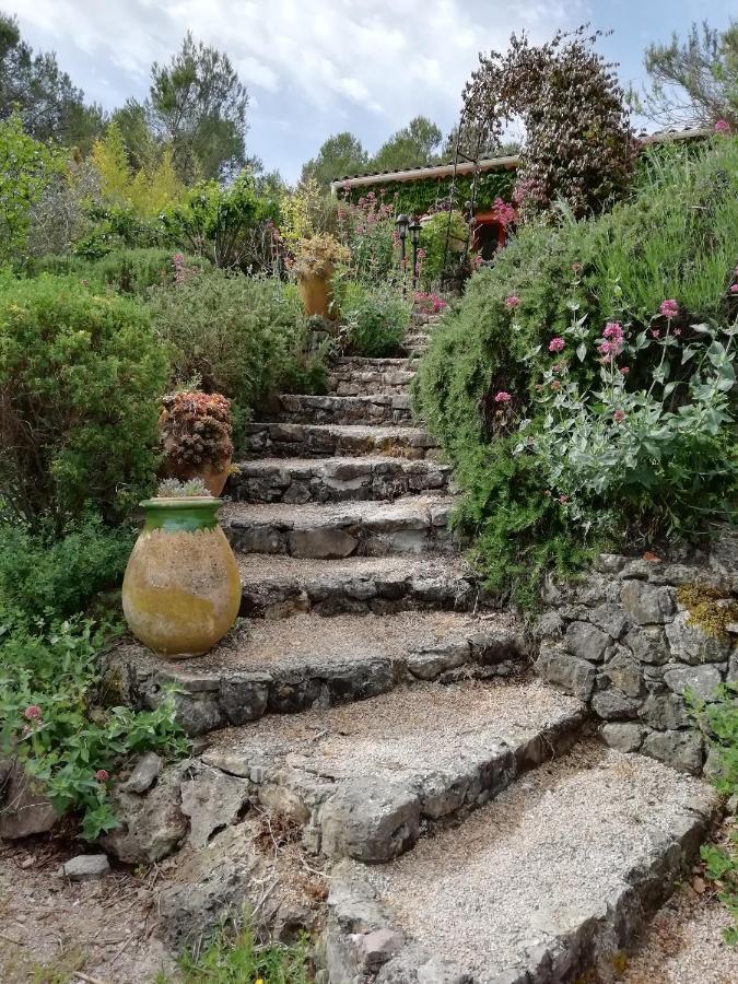 Chambre D'Hote Le Mas Des Romarins Les Arcs-sur-Argens Εξωτερικό φωτογραφία