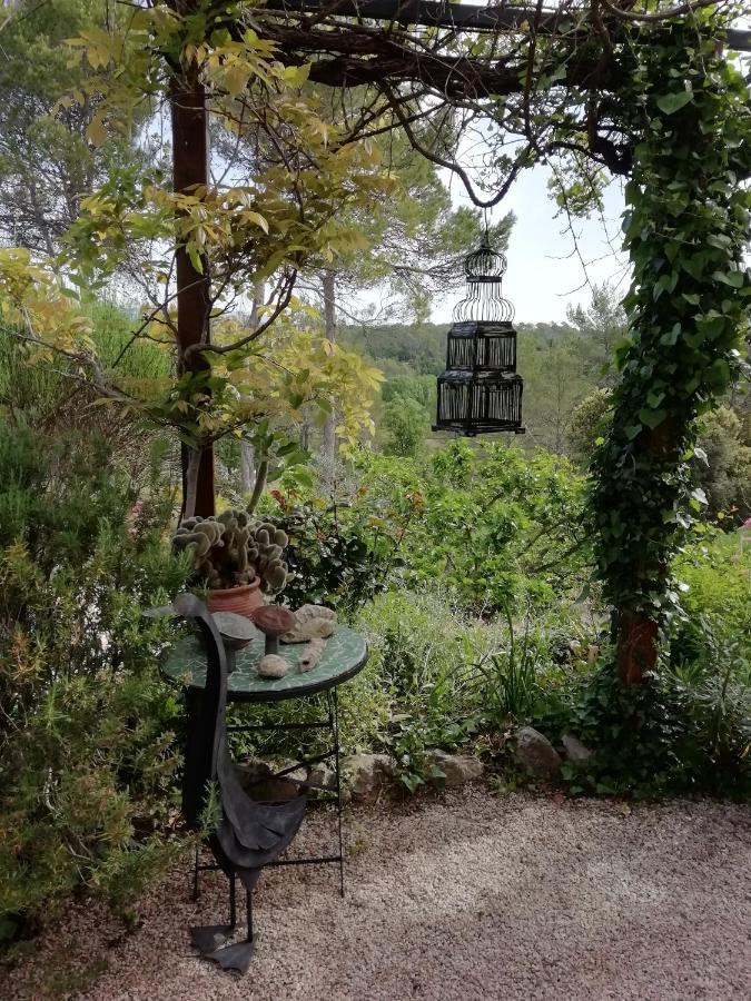 Chambre D'Hote Le Mas Des Romarins Les Arcs-sur-Argens Εξωτερικό φωτογραφία
