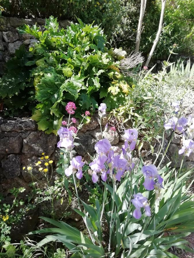 Chambre D'Hote Le Mas Des Romarins Les Arcs-sur-Argens Εξωτερικό φωτογραφία
